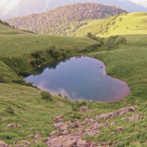 Meet your Posher, Kailey